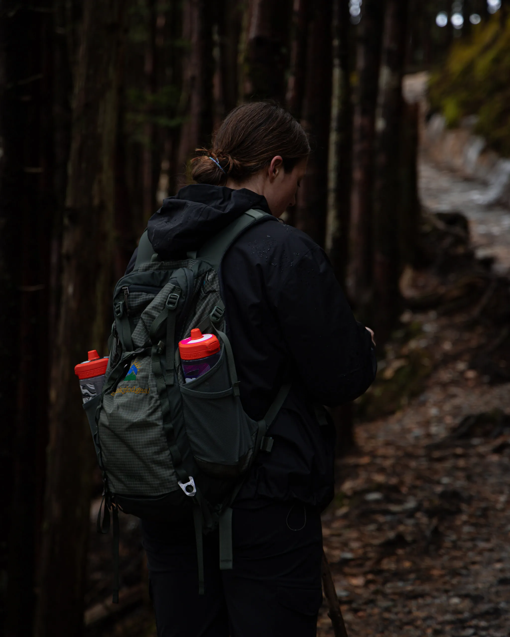 A hiker in a rain shell walks a narrow trail through tall dark conifers
